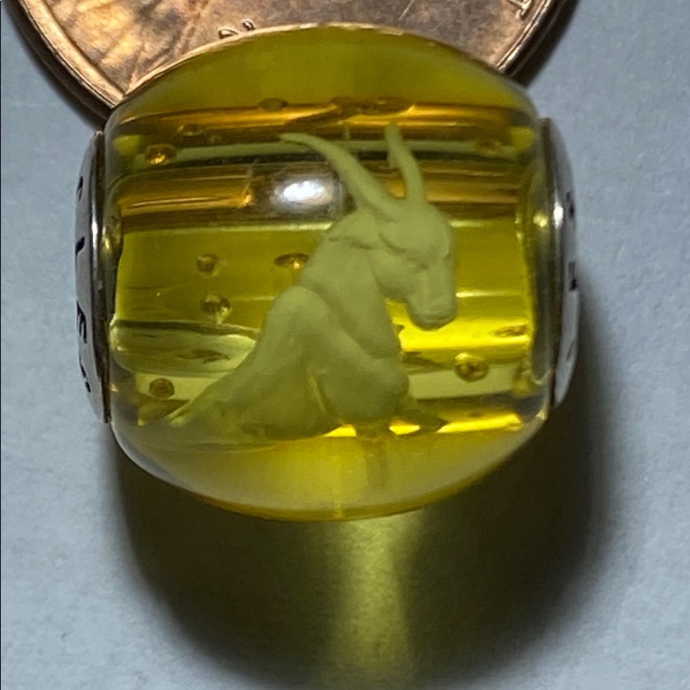 ChroniclesAmber - Capricorn zodiac amber bead - NWOT